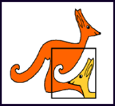 Znalezione obrazy dla zapytania kangur matematyczny 2017 gify